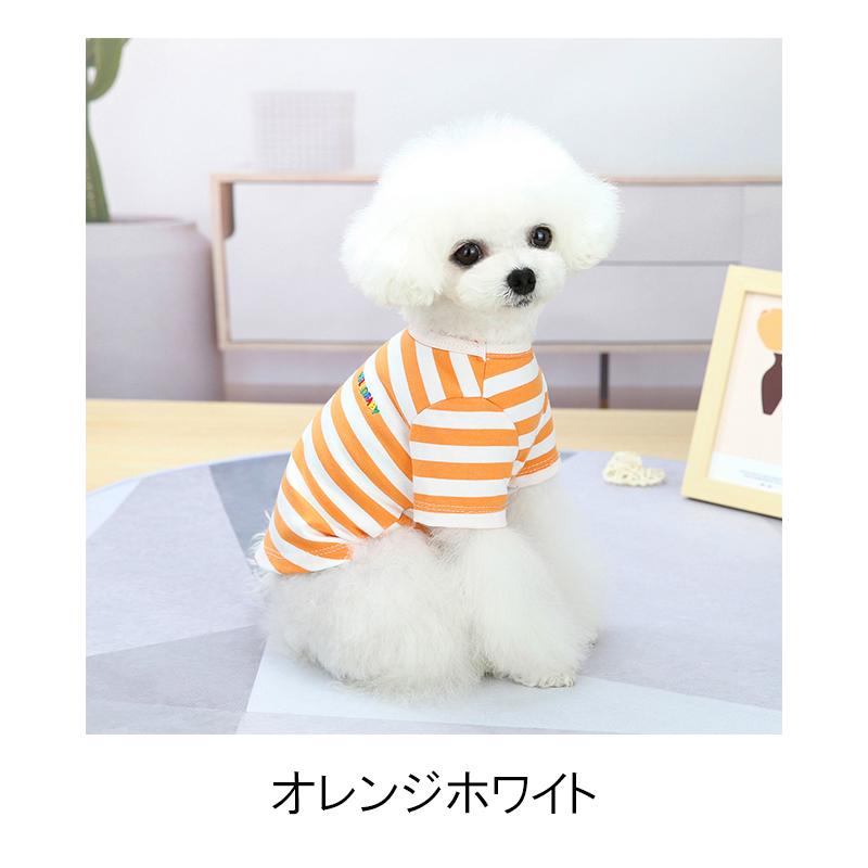 完全閉店セール／在庫限り/返品・交換不可】犬服 ボールドボーダー