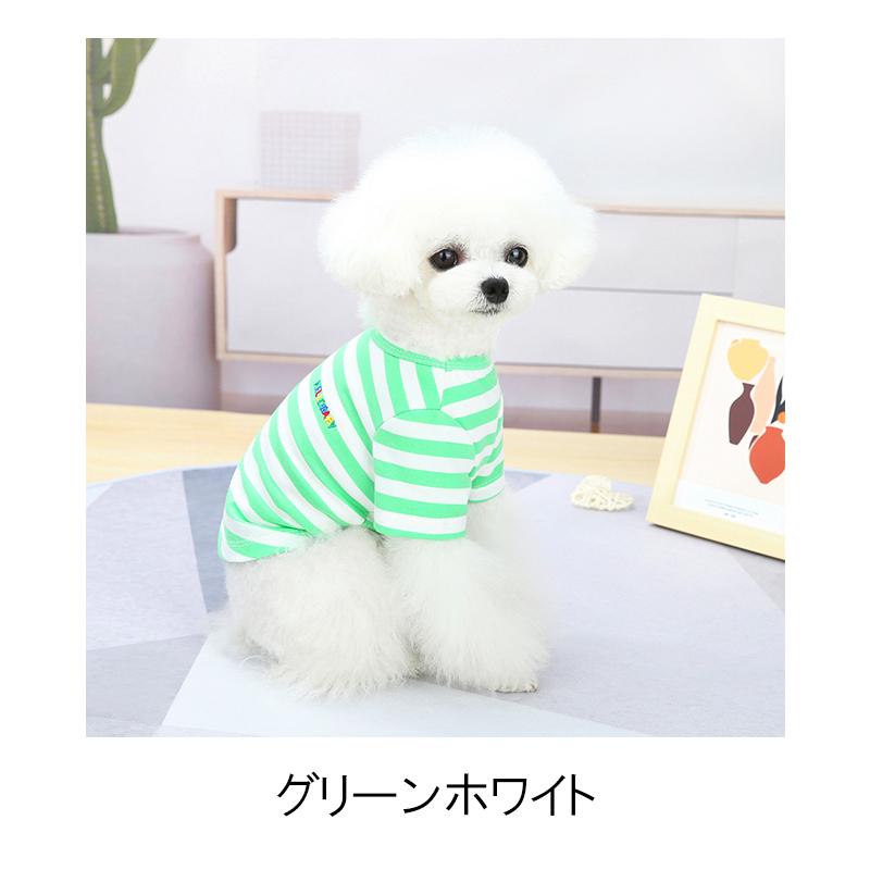 犬服 ボールドボーダーシャツ ドッグウェア ボールドボーダー シャツ