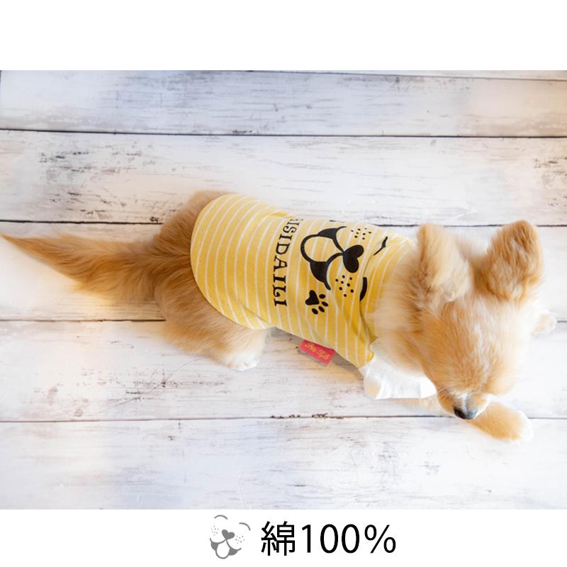 犬ボーダーシャツ　マルチボーダーＴシャツ　犬お洋服　ペットボーダーウェア 楽天市場】犬服 ボーダーTシャツ 春秋冬 定番 飼い主とペア 小型