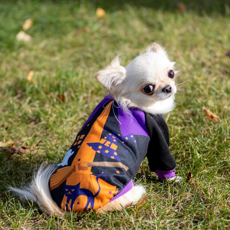 22正規激安 犬服 Petfind 犬 犬の服 秋冬 ハロウィン コスチューム かぼちゃ柄 オバケ柄 フード付き カボチャ パンプキン 中型犬 仮装 Settefibra Com Br