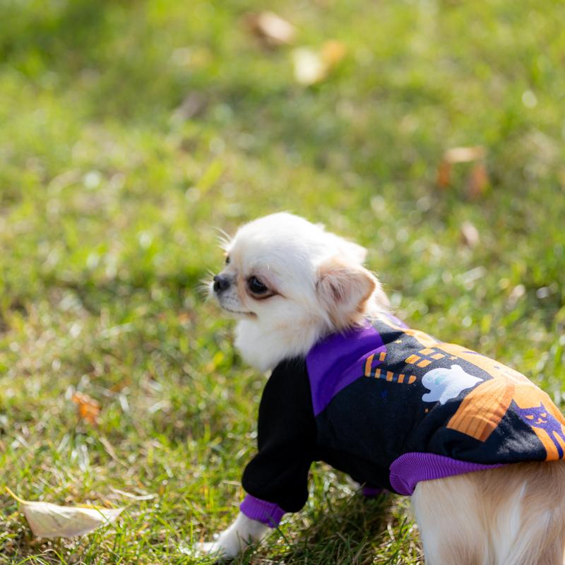 犬服 Petfind 犬 犬の服 秋冬 ハロウィン コスチューム かぼちゃ柄 オバケ柄 フード付き カボチャ パンプキン 中型犬 仮装 Winter Sale対象 Crma 1405 Pet Find Yahoo ショッピング店 通販 Yahoo ショッピング