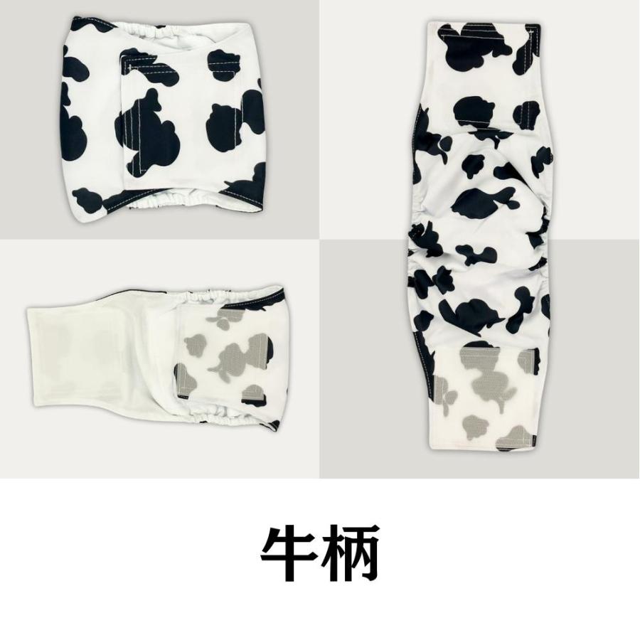 PET FiND（ペットファインド） 犬用 男の子用 カラフルマナーパンツ