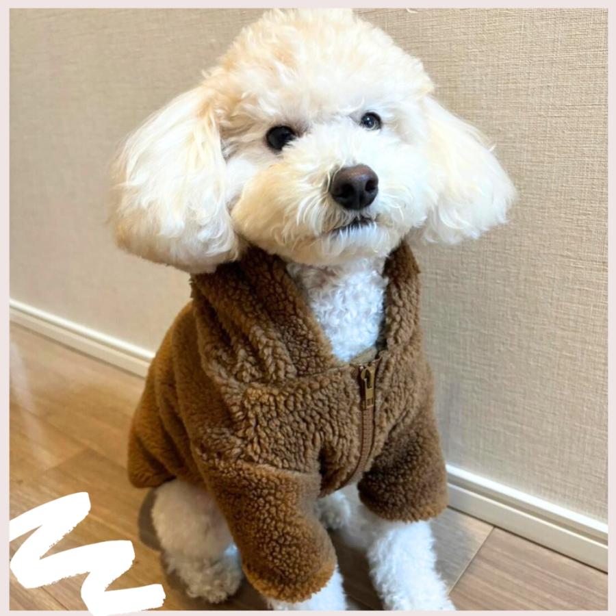 PET FiND 犬 服 冬 ＼フード付き HI ! BEAR ／ くま パーカー 暖かい 