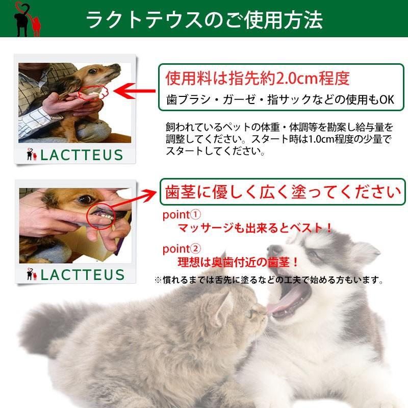 犬 猫 サプリメント ラクトテウス日本製 犬猫用 サプリメント ラクトフェリン/乳酸菌/ビタミンEを配合したペット用の総合健康サプリメント｜petfind｜07