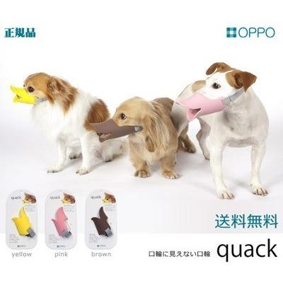 OPPO オッポ quack クアック テラモトクアック 口輪に見えない口輪 正規品 ペットグッズ 犬用｜petfind｜02