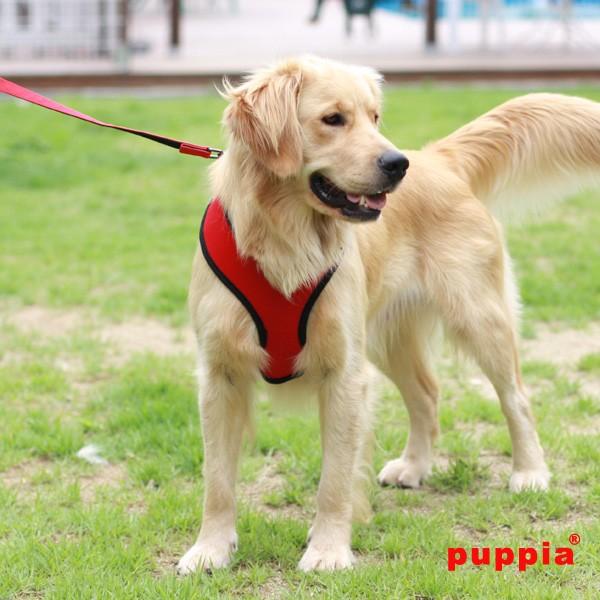 PUPPIA正規販売店 パピア ハーネス 胴輪 ソフトメッシュハーネス サイズ XS/S/M/L 犬用品 超小型 小型 pdcf-ac30 :pdcf-ac30:PET FiND Yahoo!ショッピング店 - 通販 - Yahoo!ショッピング PUPPIA正規販売店 パピア ハーネス 胴輪 ソフトメッシュハーネス サイズ XS/S/M/L 犬用品 超小型 小型 pdcf-ac30 :pdcf-ac30:PET FiND Yahoo!ショッピング店 - 通販 - Yahoo!ショッピング