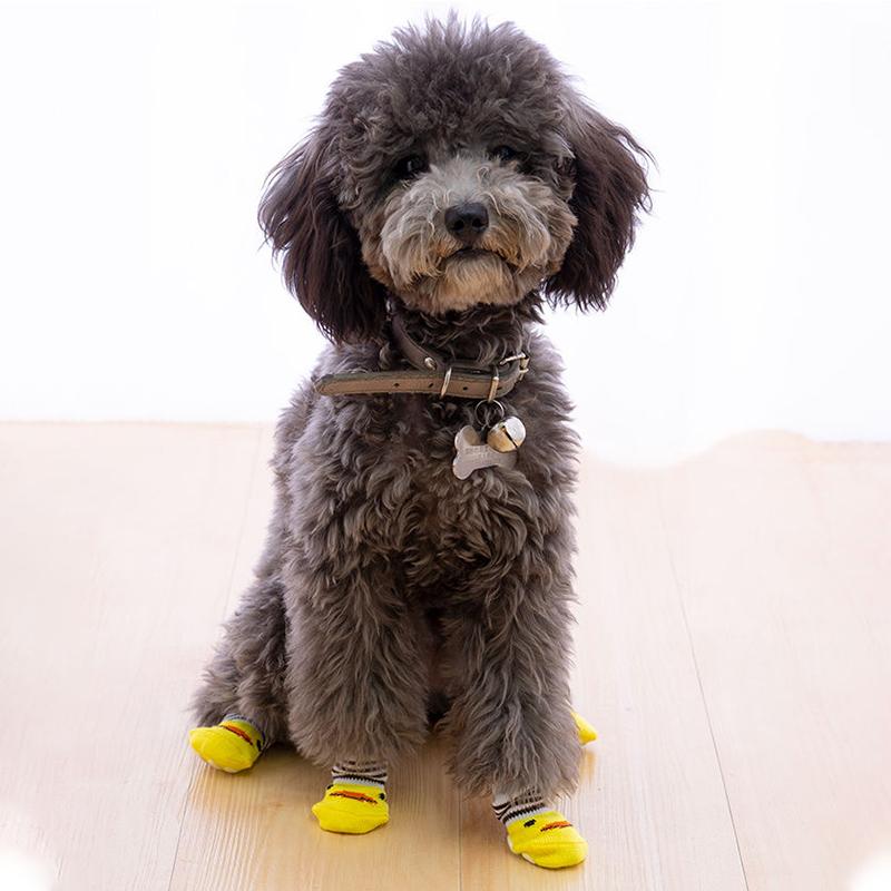 犬の靴下 ドッグソックス 犬 靴下 犬用靴下 4つ足 S M L 滑り止め ひよこ ダッグ カエル パンダ クマ Socks 002 Pet Find Yahoo ショッピング店 通販 Yahoo ショッピング