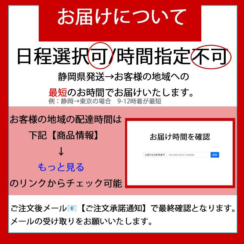ベタ 熱帯魚 生体 ハーフムーン ブラックスターカッパー オス_4