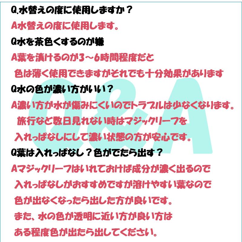 マジックリーフ モモタマナ・リーフ 5枚入り : ベタ専門店 ペット
