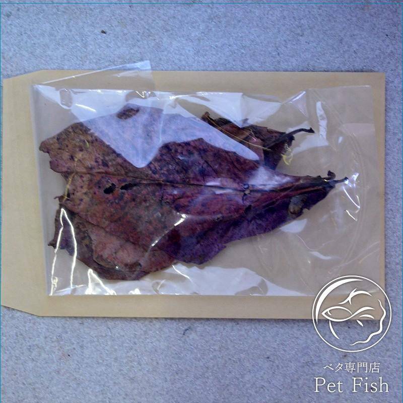 マジックリーフ 大容量300g : ベタ専門店 ペットフィッシュ - 通販