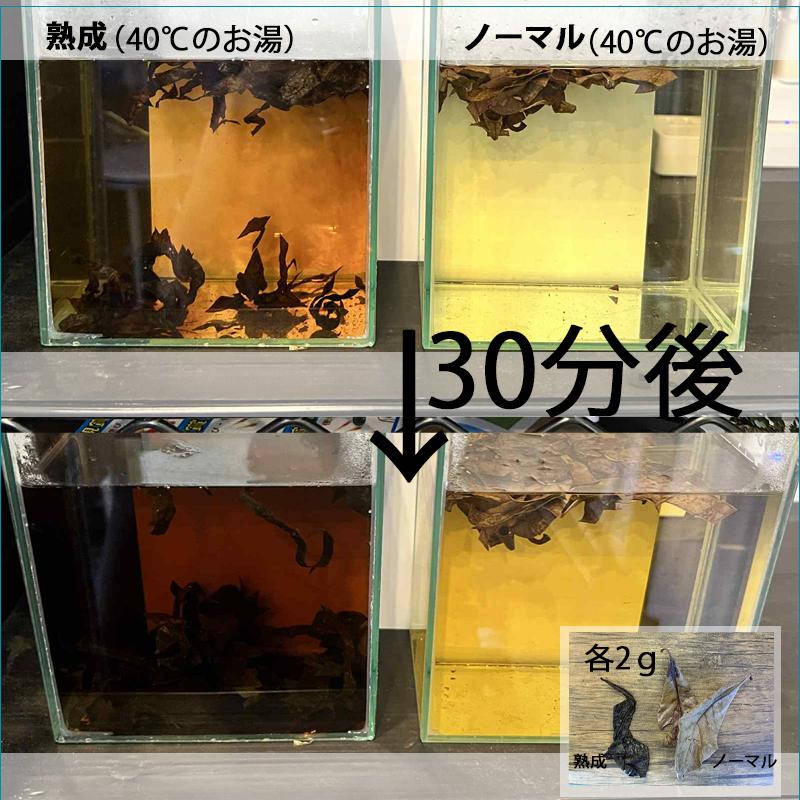 熟成モモタマナの葉 15グラム : ベタ専門店 ペットフィッシュ - 通販