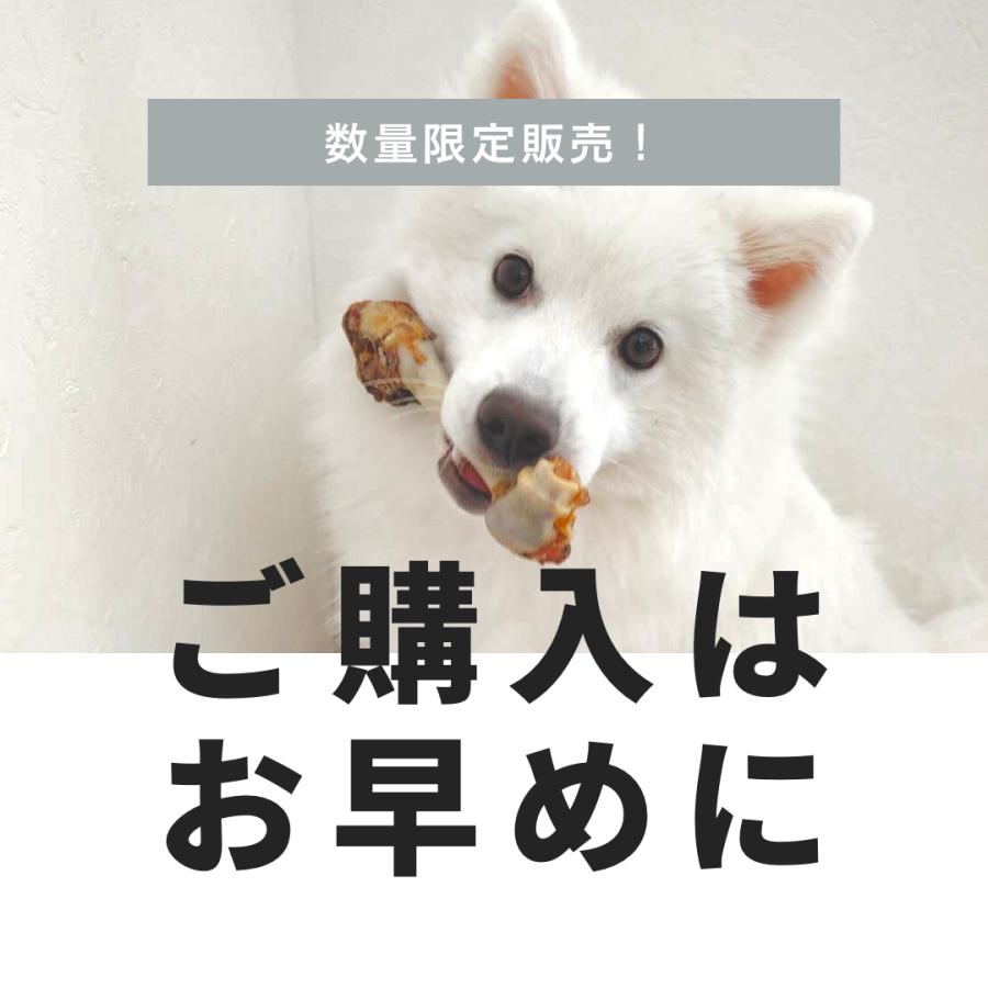 シカ骨 鹿大骨 大 1本 : 鹿ドッグフード専門店MOMOKA - 通販