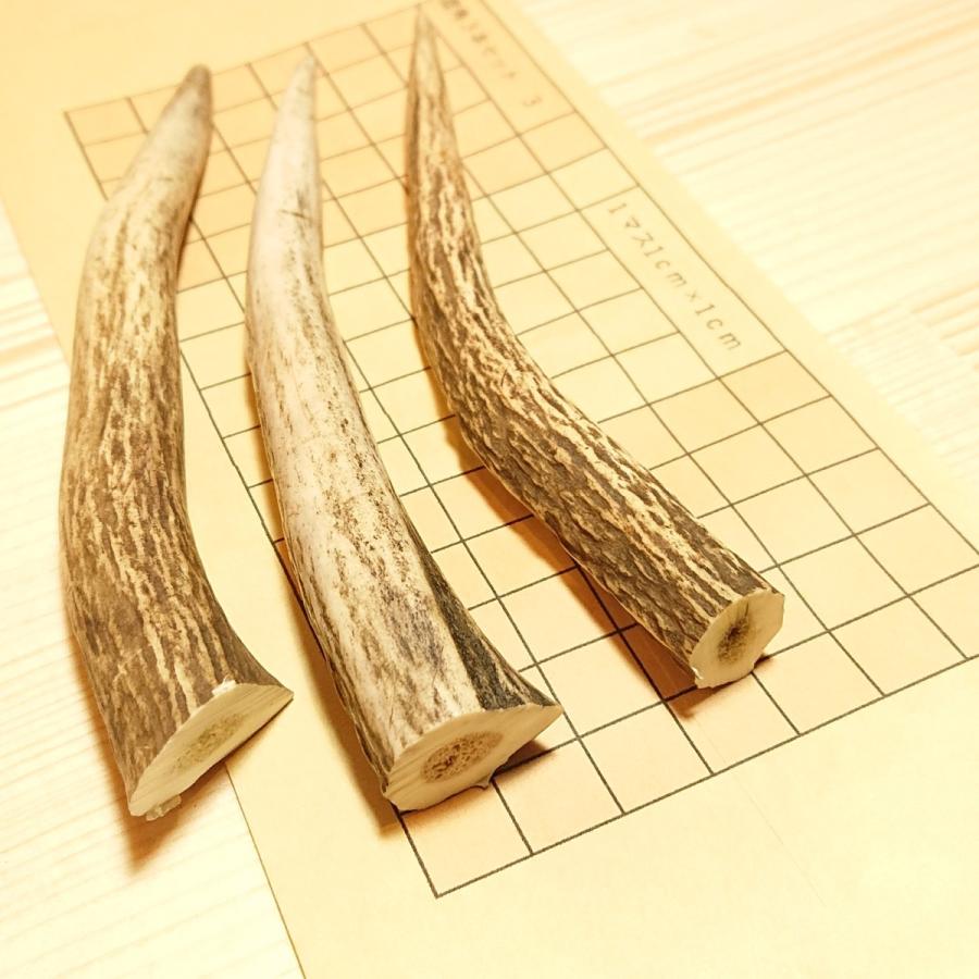 鹿の角 長さ10cm 3本セット3番 犬のハミガキ ハンドメイド素材 鹿角細工 日本製 豪華な 噛むおもちゃ シカツノ 歯石除去 自宅でできる歯石取り 歯みがき