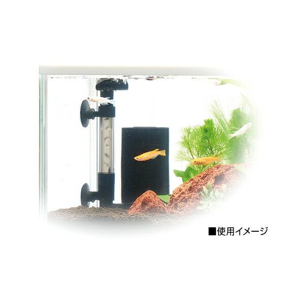 【箱売り 12個セット】◇GEX(ジェックス) メダカ元気 メダカを育てるフィルター_3
