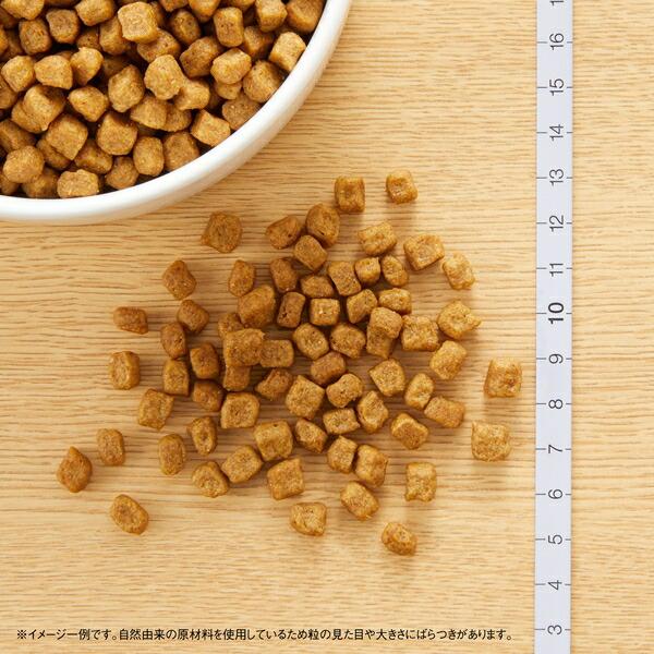 3kg×2個】◇ニュートロ ナチュラルチョイス 小型犬用 成犬用 チキン