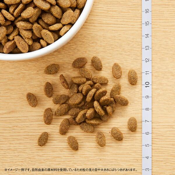 2kg×2個】◇ニュートロ キャット ナチュラルチョイス 室内猫用