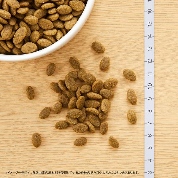 2kg×2個】◇ニュートロ キャット ナチュラルチョイス 穀物フリー