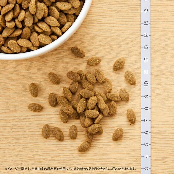 Nutro ナチュラルチョイス　 毛玉トータルケア2kg×2袋 2kg×2個】◇ニュートロ キャット ナチュラルチョイス 毛玉トータルケア
