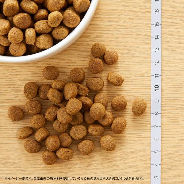 2kg×2個】◇ニュートロ ナチュラルチョイス 中型犬~大型犬用 成犬用