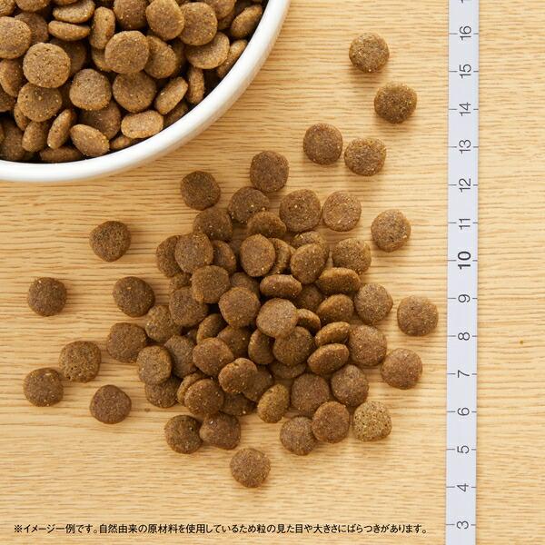 2kg×2個】◇ニュートロ キャット ワイルドレシピ アダルト サーモン 成
