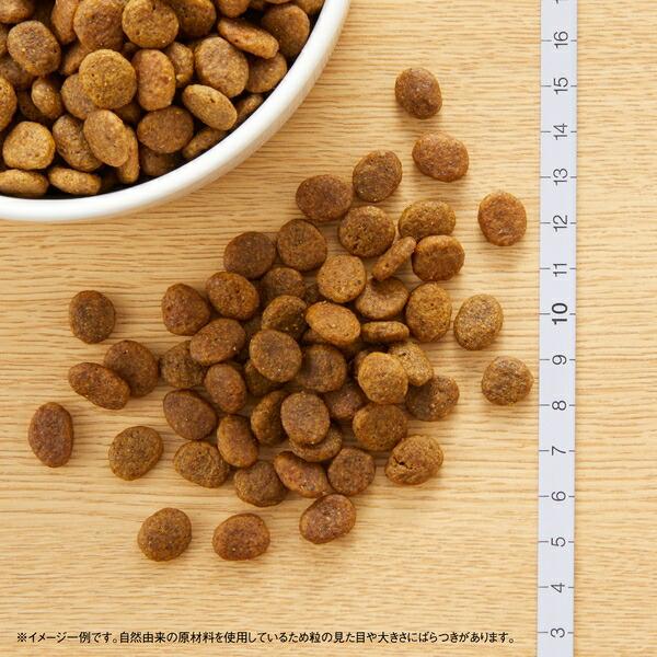ワイルドレシピ 成犬用 ターキー4キロ×2 4kg×2個】◇ニュートロ ワイルドレシピ 超小型犬~小型犬用 成犬用