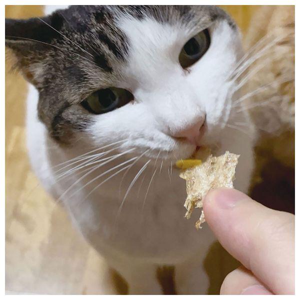 【箱売り 60個セット】◇ペティオ ねこちゃんの素材そのまま 無添加極上うす焼き まぐろ節と貝柱 3g W13795