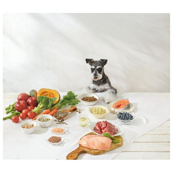 ソルビダ 　グレインフリー 　チキン　 室内飼育成犬用 １．８ｋｇ ×２袋 Amazon.co.jp: ソルビダ グレインフリー チキン 室内飼育成犬用