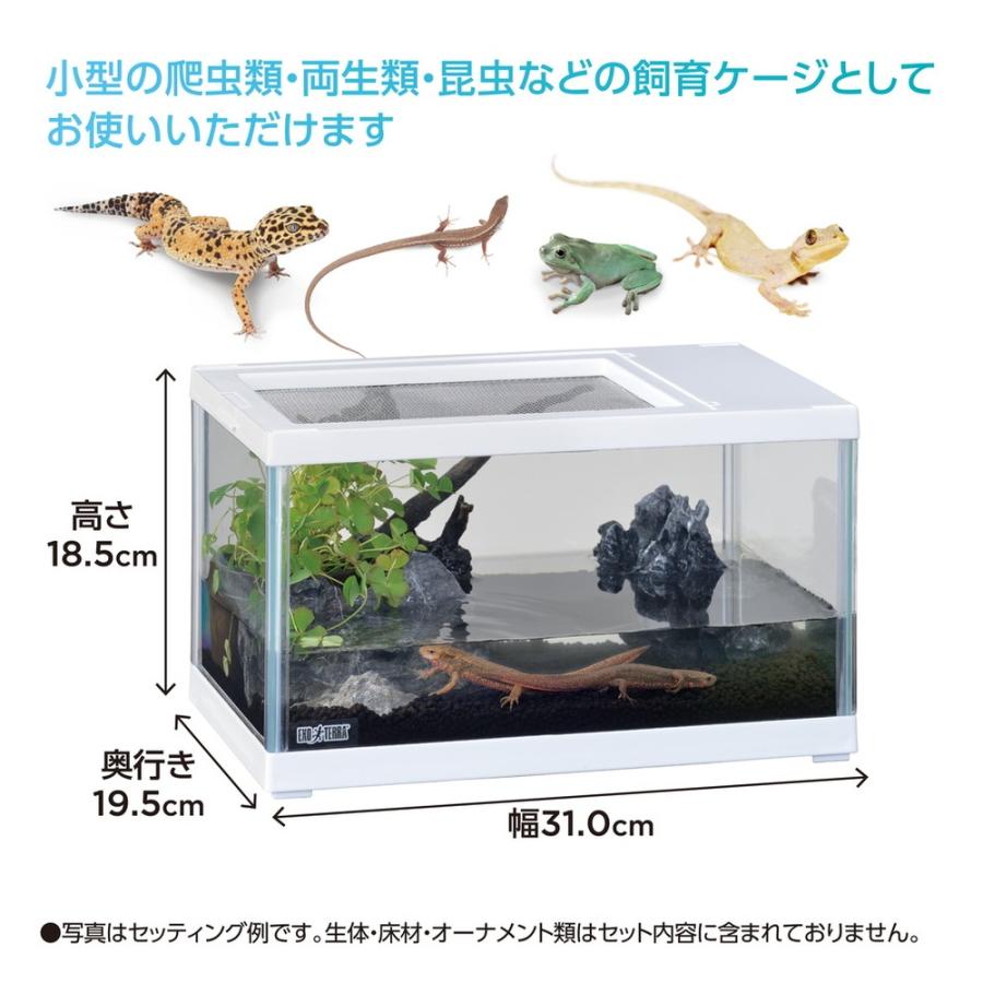ジェックス レプテリア ツインビュー 300ホワイト : ペットフォレスト