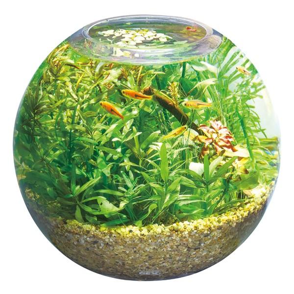 ◇ジェックス MeGreen 新鮮な水草付き グラスアクアスフィアセット