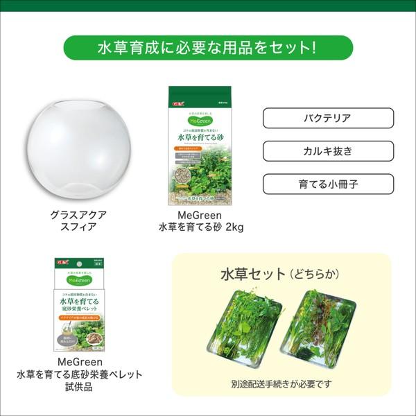 ◇ジェックス MeGreen 新鮮な水草付き グラスアクアスフィアセット
