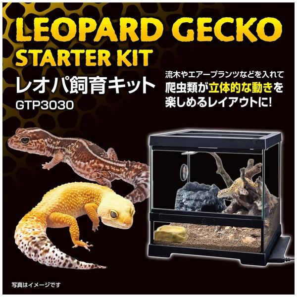 GEX(ジェックス) レオパ飼育キット GTP3030 : ペットフォレストヤフー