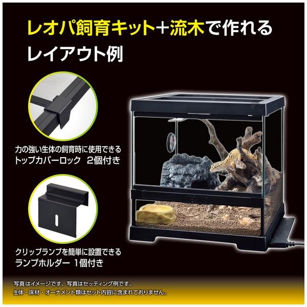 GEX(ジェックス) レオパ飼育キット GTP3030 : ペットフォレストヤフー