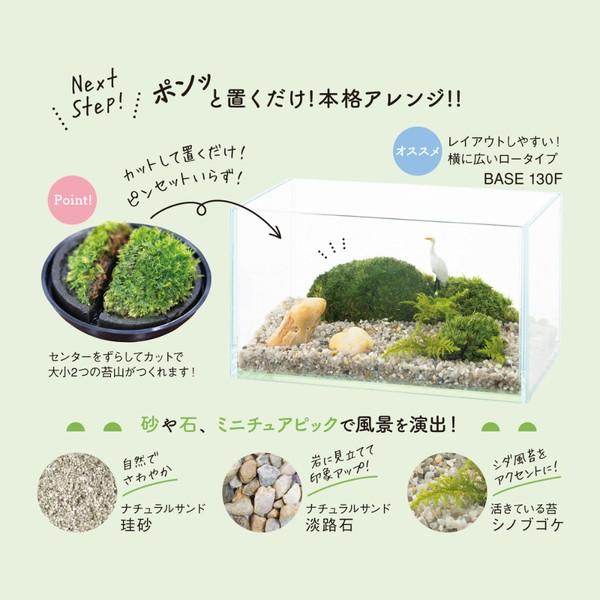 ◇水作 ソコニワ 苔テラリウムキット : ペットフォレストヤフー店