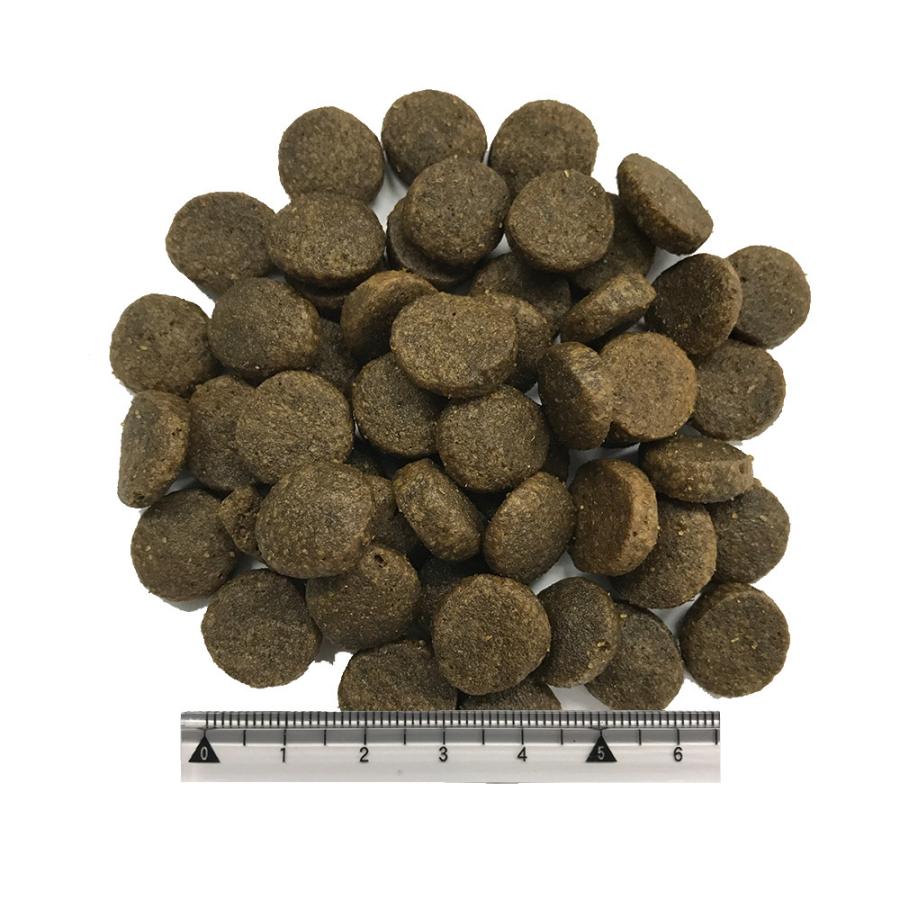 アカナクラシック ワイルドコーストレシピ 9.7kg : ペットゴー 2号館