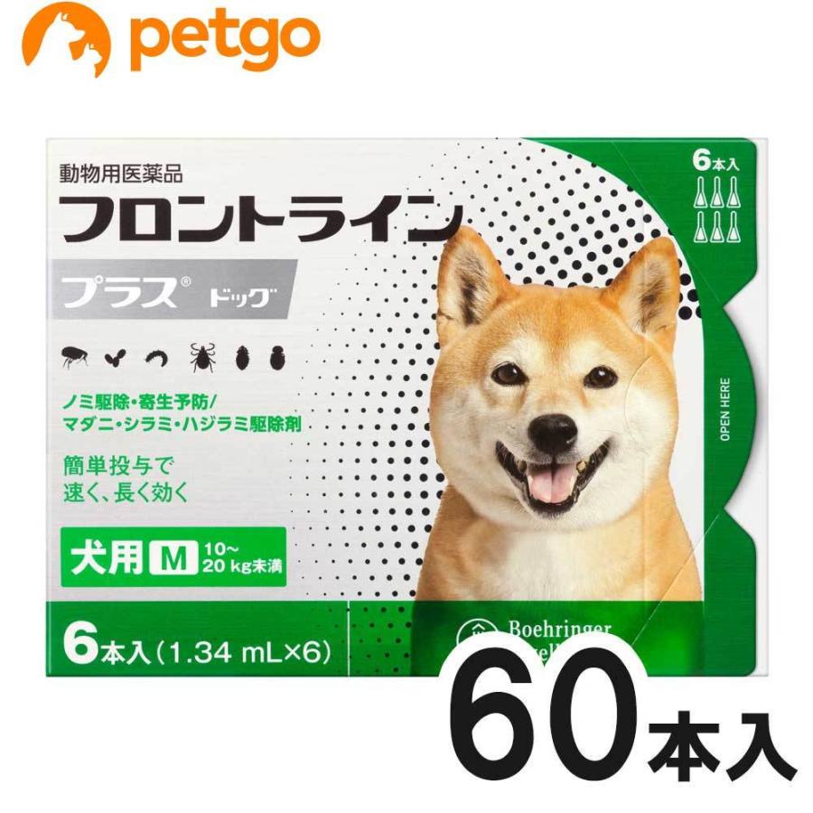 【10箱セット】犬用フロントラインプラスドッグM 10kg〜20kg 6本（6ピペット）（動物用医薬品）