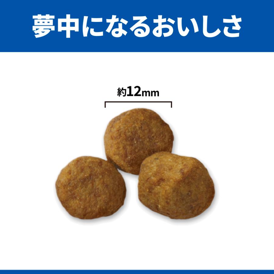 ヒルズ - 科学知識食事制限 年がしら 老いらく犬用 7歳以上 6.5kg×2個【まとめ買い】