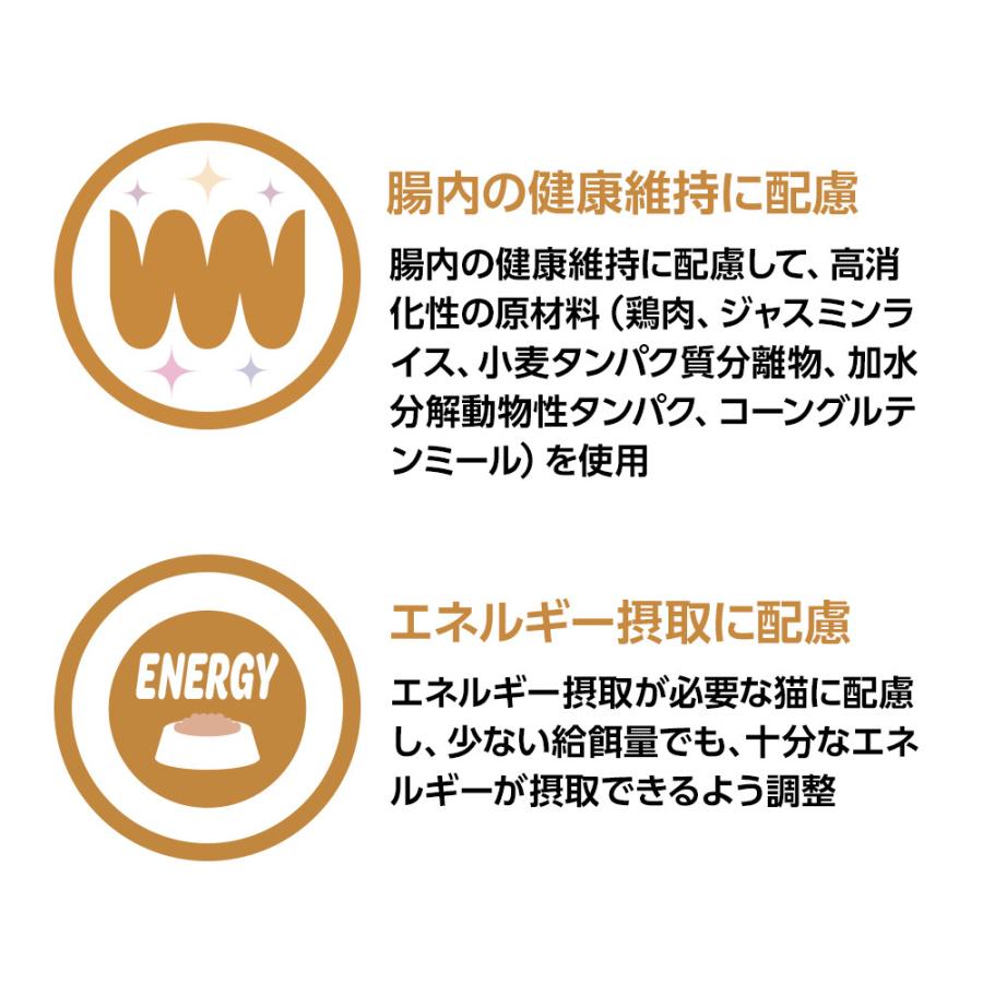 【2袋セット】ベッツワンベテリナリー 猫用 消化器ケア チキン 2kg_2