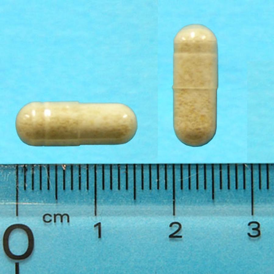 マイトマックススーパー小型犬・猫用　60カプセル×２袋 Amazon | 共立製薬 マイトマックス・スーパー 小型犬・猫用 60CP