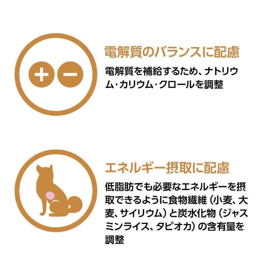 ベッツワンベテリナリー 犬用 消化器ケア 低脂肪 チキン 小粒 1kg