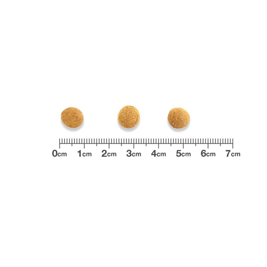 ベッツワンベテリナリー 猫用 pHケア ライト チキン 500g×12袋【ケース販売】 | ベッツワンベテリナリー | 01