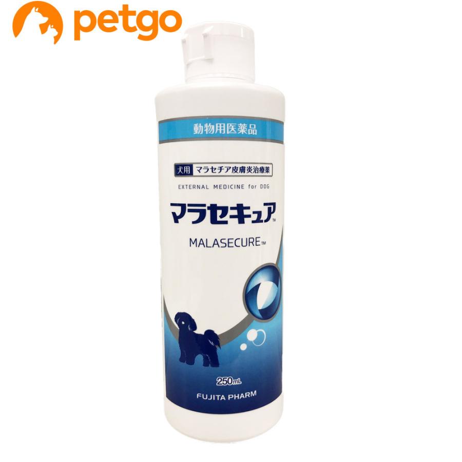 マラセキュア シャンプー 犬用 250mL（動物用医薬品）（Yahoo!・ペットゴー 2号館 ヤフー店）