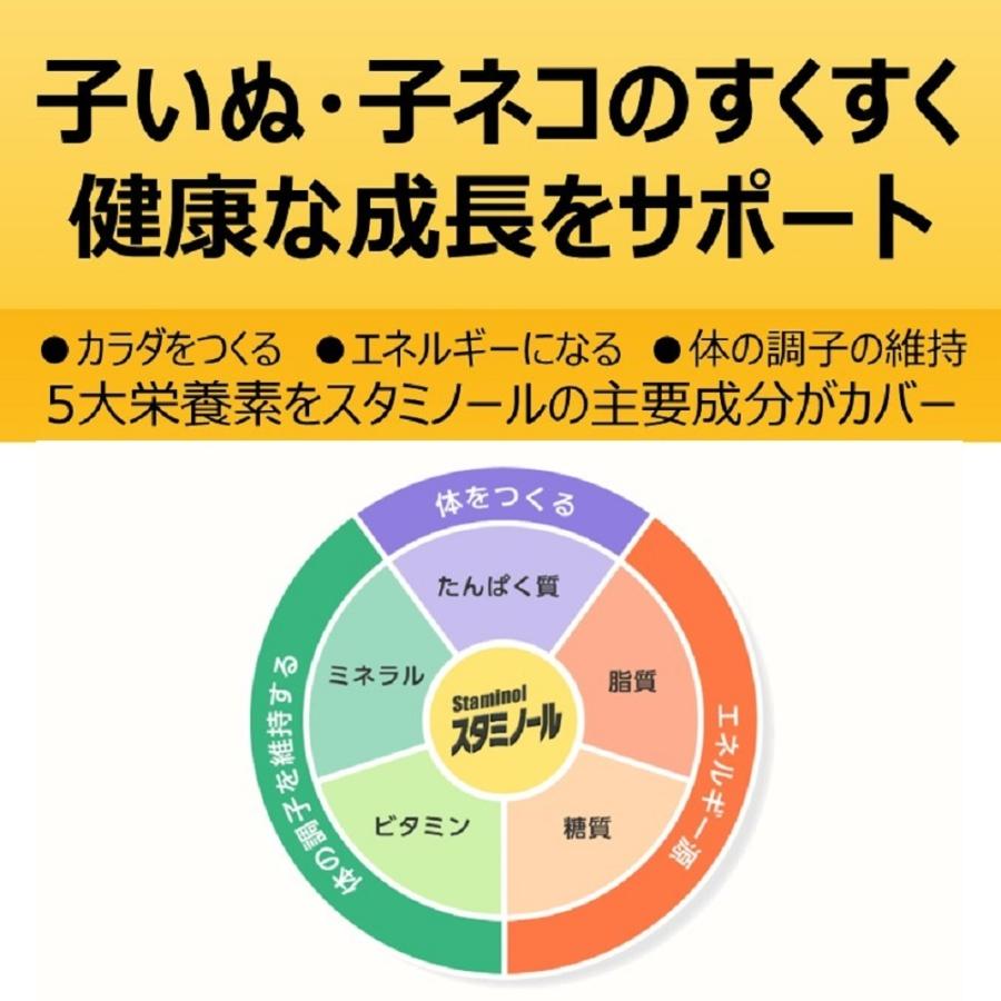 宅配便送料無料 スタミノール 子いぬ 子ねこ用 100g Discoversvg Com