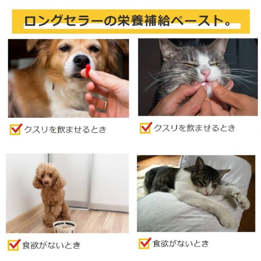 宅配便送料無料 スタミノール 子いぬ 子ねこ用 100g Discoversvg Com