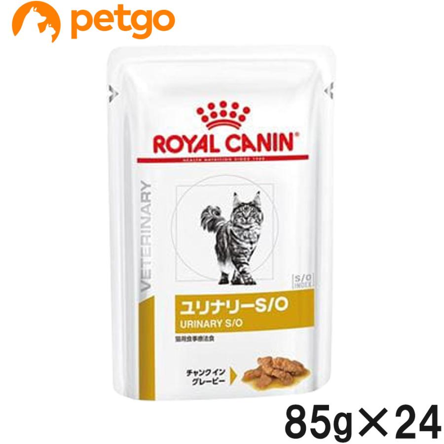  CANIN 療養食　猫　ユリナリー S/O　パウチ　85g 43個 ロイヤルカナン 食事療法食 猫用 ユリナリーS/O ウェット パウチ
