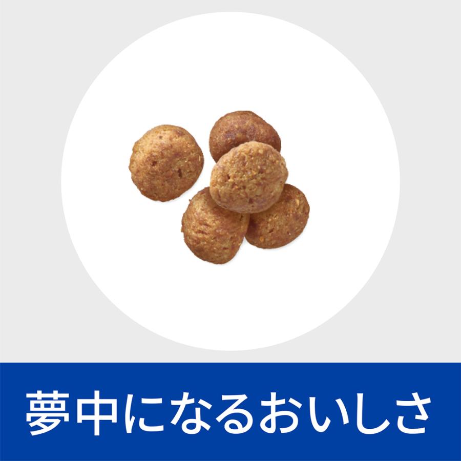 ヒルズ 食事療法食 犬用 腸内バイオーム 繊維&消化ケア 小粒 ヒルズ 食事療法食 犬用 腸内バイオーム 繊維&消化ケア 小粒