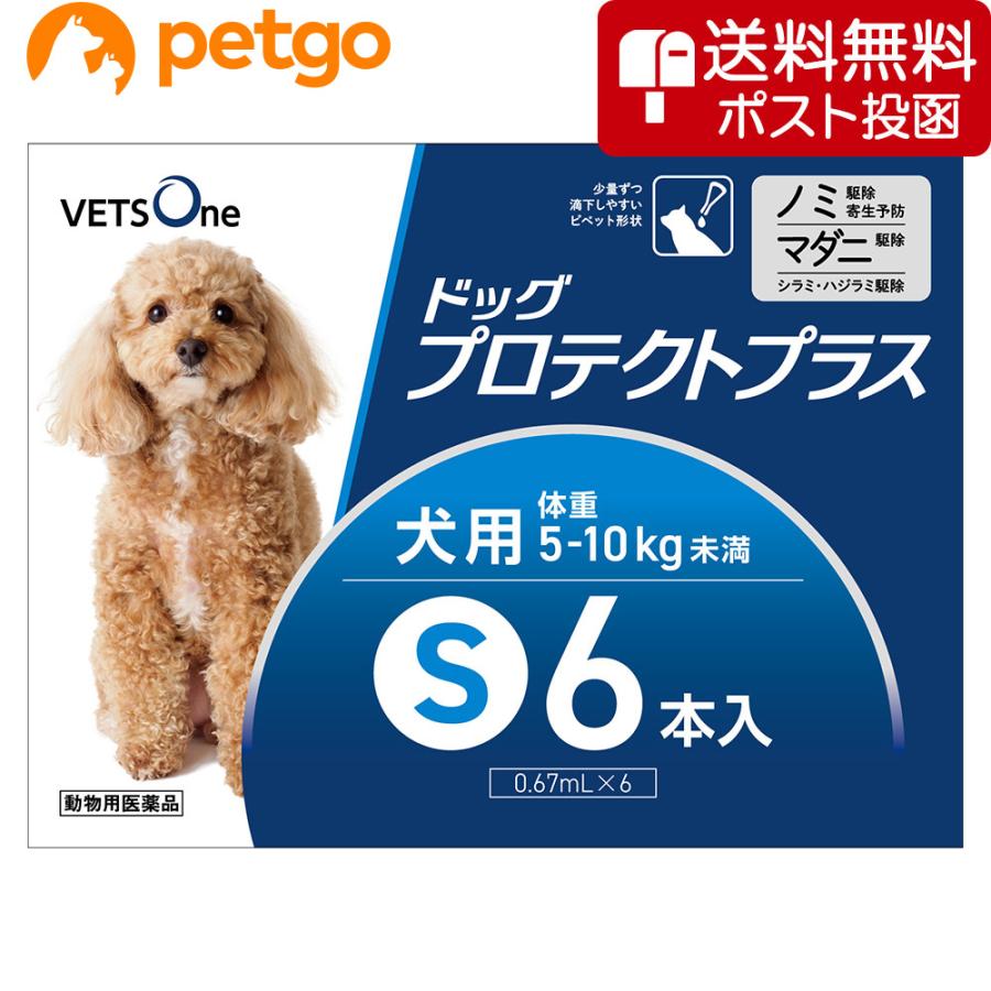 【ネコポス(同梱不可)】ベッツワン ドッグプロテクトプラス 犬用 S 5kg〜10kg未満 6本 (動物用医薬品)（Yahoo!・ペットゴー 3号館 ヤフー店）