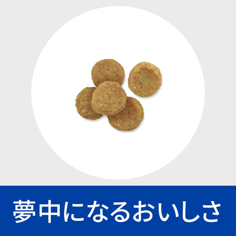 ヒルズ 食事療法食 犬用 i/d アイディー 消化ケア ドライ 小粒 1kg｜petgo-3rd｜05