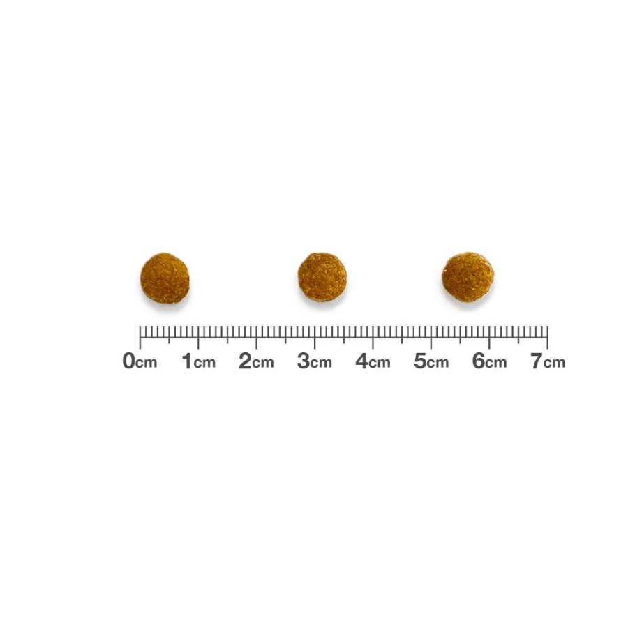 【2袋セット】ベッツワンベテリナリー 猫用 消化器ケア 可溶性繊維 チキン 2kg | ベッツワンベテリナリー | 01
