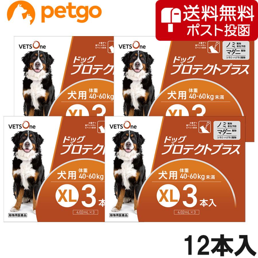 【ネコポス(同梱不可)】【4箱セット】ベッツワン ドッグプロテクトプラス 犬用 XL 40kg〜60kg未満 3本 (動物用医薬品) | プロテクトプラス