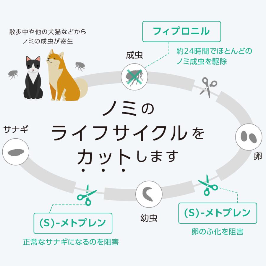 【ネコポス(同梱不可)】【4箱セット】ベッツワン ドッグプロテクトプラス 犬用 XL 40kg〜60kg未満 3本 (動物用医薬品) | プロテクトプラス | 02